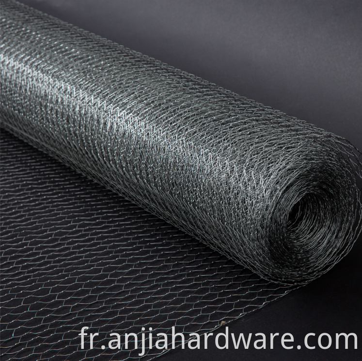 hexagonal wire netting 